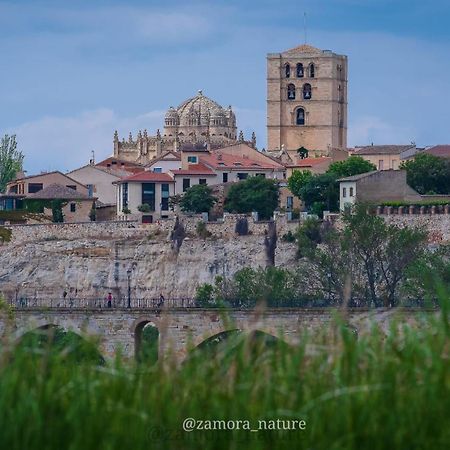 A Los Ojos Del Rio Duero Lägenhet Zamora Exteriör bild