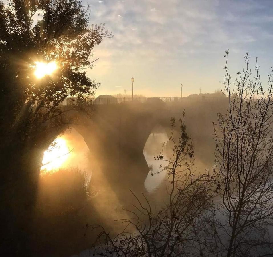 A Los Ojos Del Rio Duero Lägenhet Zamora Exteriör bild