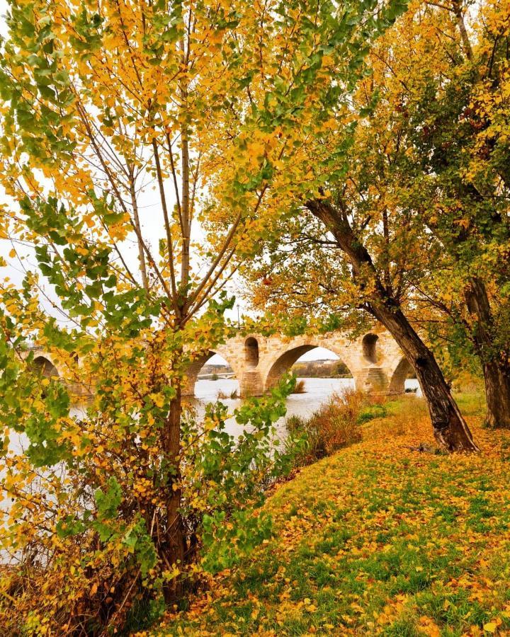 A Los Ojos Del Rio Duero Lägenhet Zamora Exteriör bild