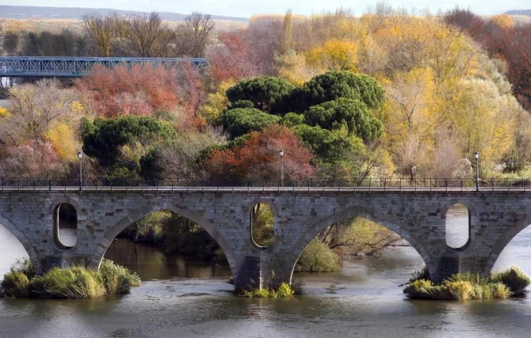 A Los Ojos Del Rio Duero Lägenhet Zamora Exteriör bild