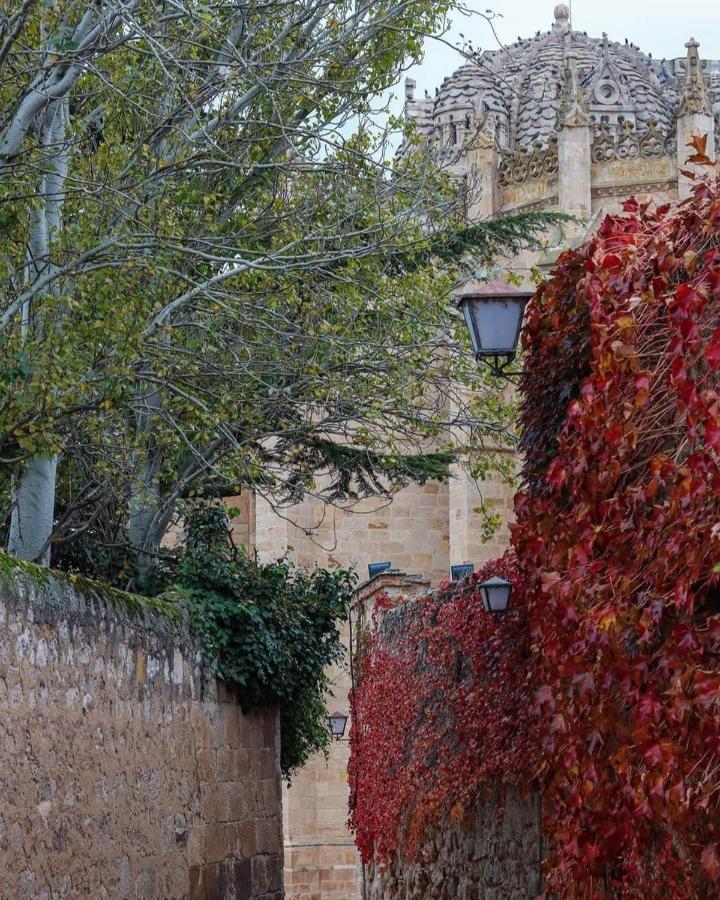 A Los Ojos Del Rio Duero Lägenhet Zamora Exteriör bild