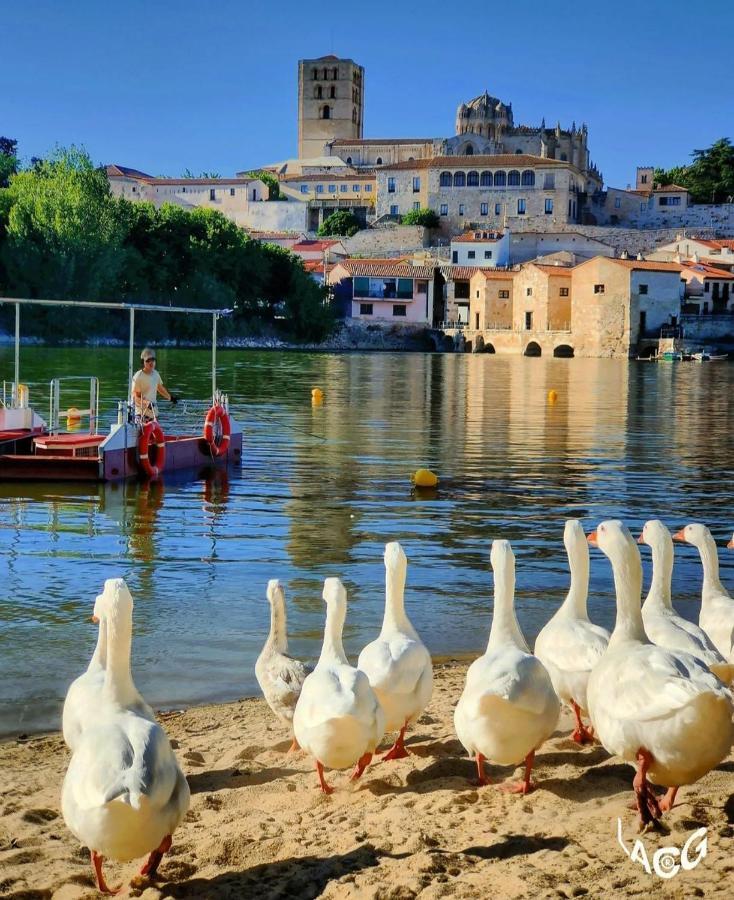 A Los Ojos Del Rio Duero Lägenhet Zamora Exteriör bild