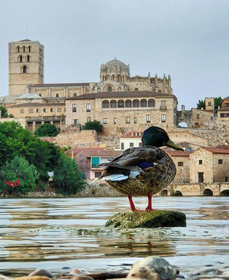 A Los Ojos Del Rio Duero Lägenhet Zamora Exteriör bild