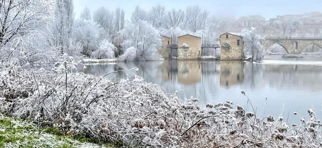 A Los Ojos Del Rio Duero Lägenhet Zamora Exteriör bild